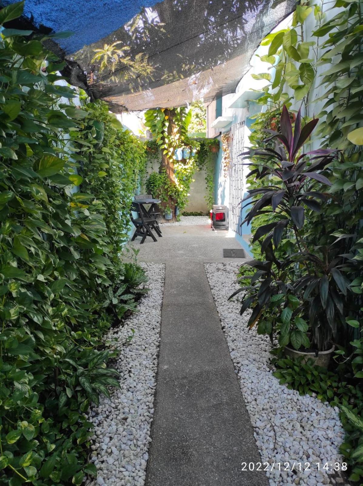 La Casa Azul Leilighet Cartagena Eksteriør bilde